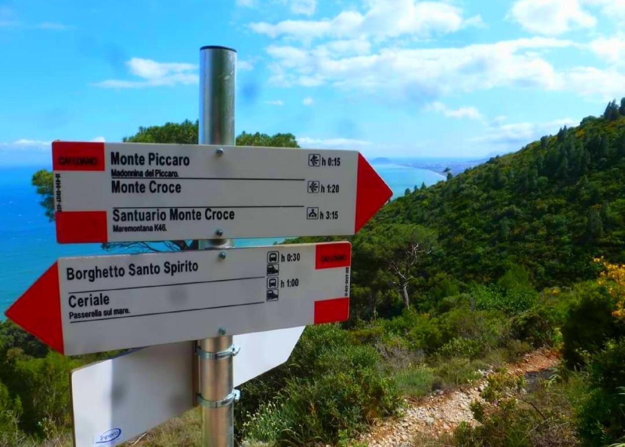Agriturismo Monte Acuto - Natura, Mare & Relax In Piscina 토이라노 외부 사진